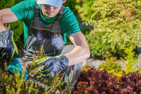 Garden Landscaping in Dubai | KABCO Group